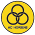 AC Horsens