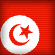 Tunisia Squad